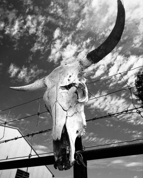 CountryThyme-About-570×712